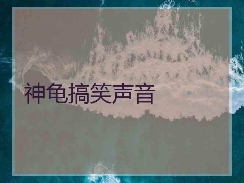神龟搞笑声音