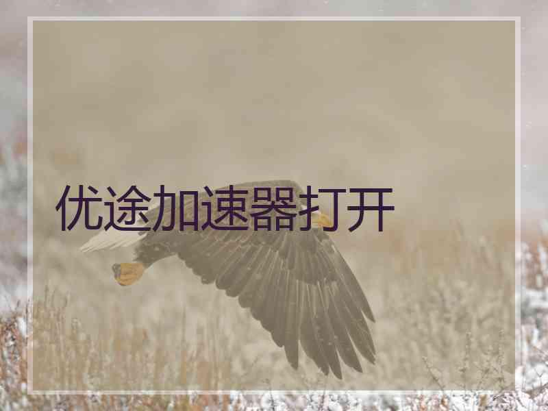 优途加速器打开