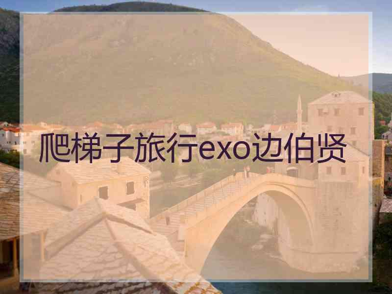 爬梯子旅行exo边伯贤