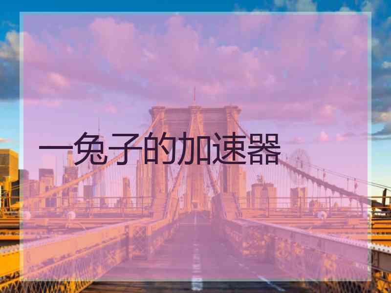 一兔子的加速器