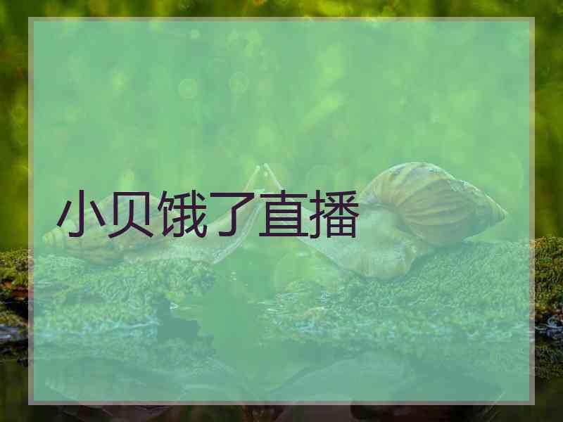 小贝饿了直播