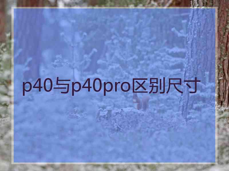 p40与p40pro区别尺寸