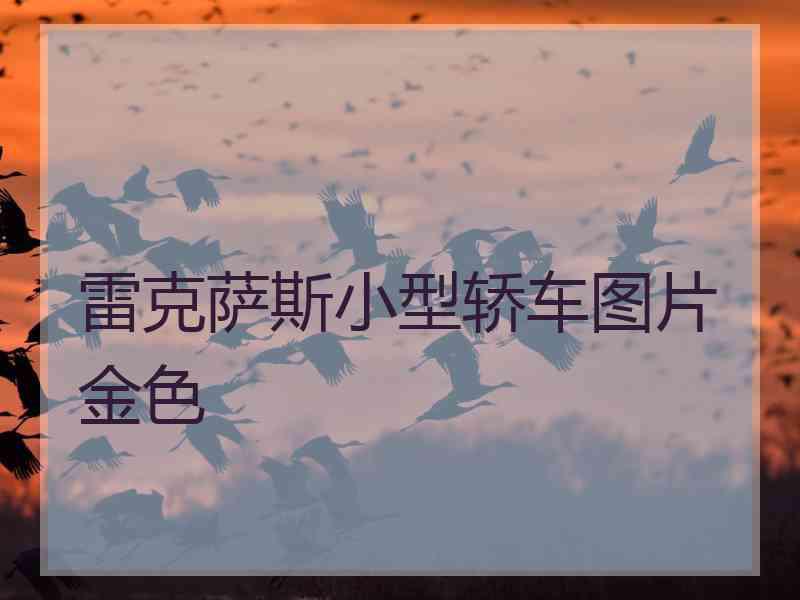 雷克萨斯小型轿车图片金色