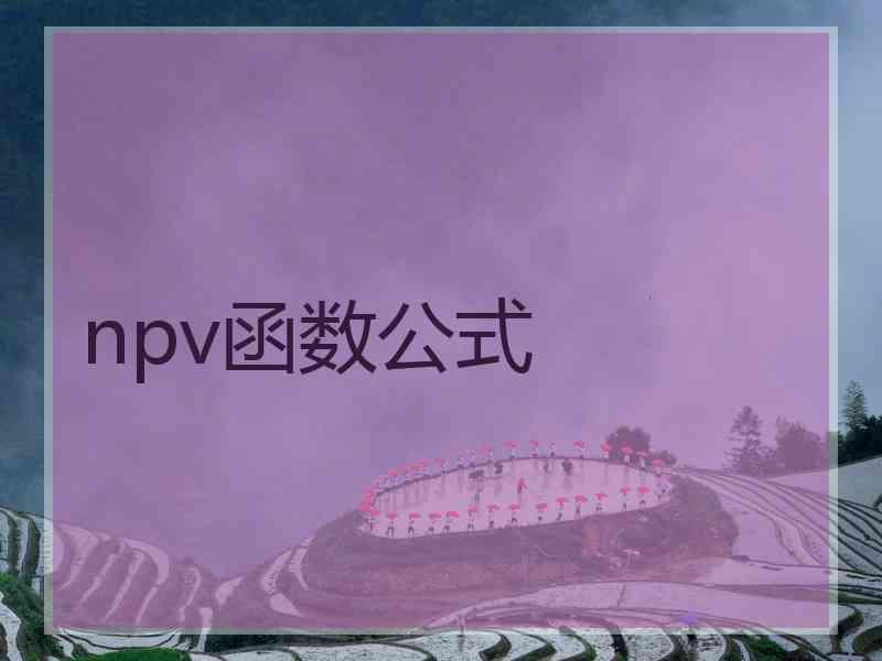 npv函数公式