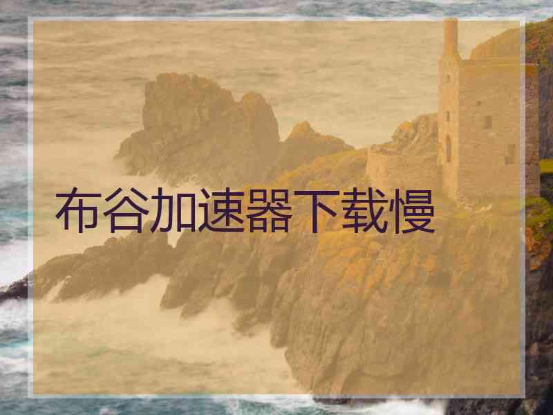 布谷加速器下载慢