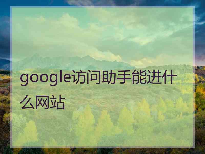 google访问助手能进什么网站