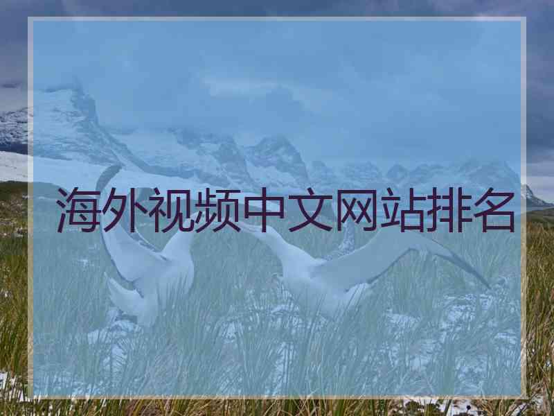 海外视频中文网站排名