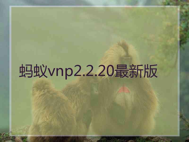 蚂蚁vnp2.2.20最新版