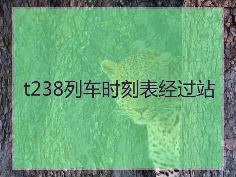 t238列车时刻表经过站