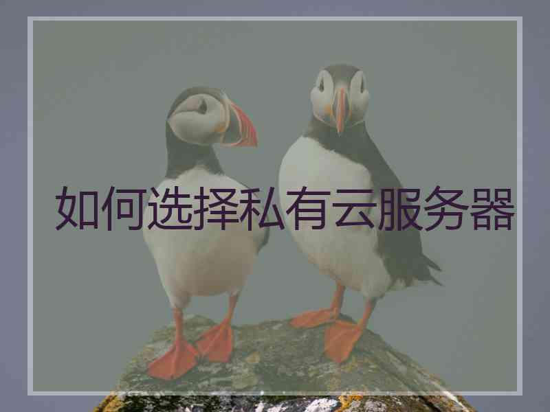 如何选择私有云服务器