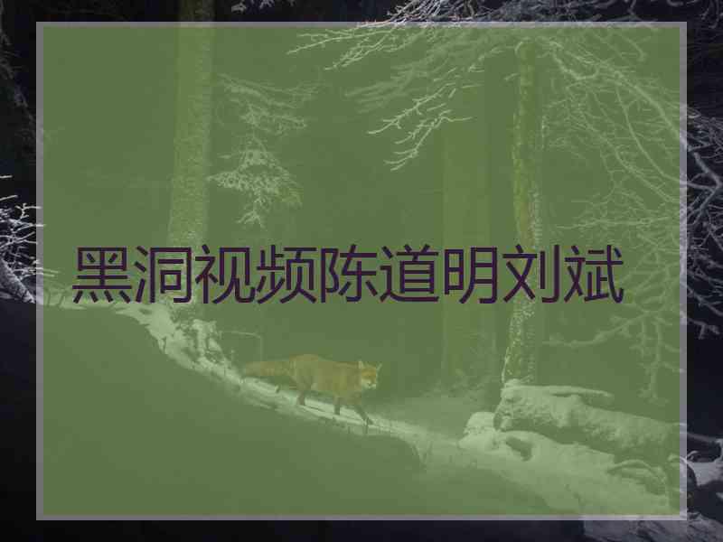 黑洞视频陈道明刘斌