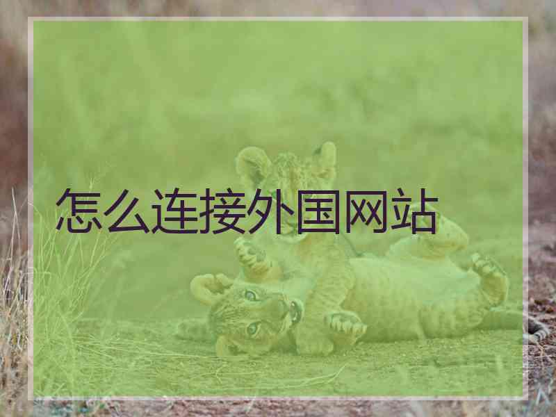 怎么连接外国网站