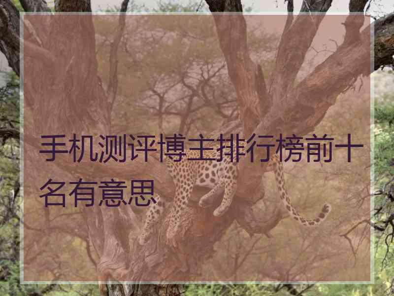 手机测评博主排行榜前十名有意思
