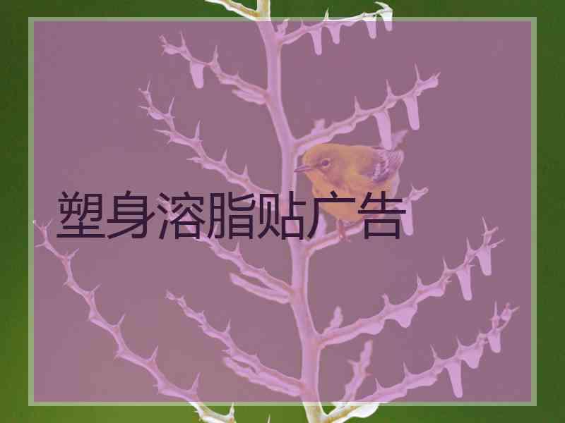 塑身溶脂贴广告