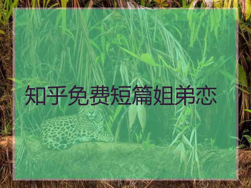 知乎免费短篇姐弟恋
