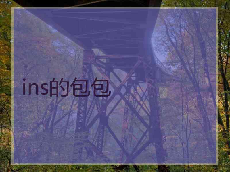 ins的包包