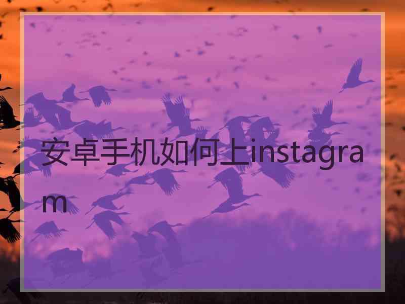 安卓手机如何上instagram
