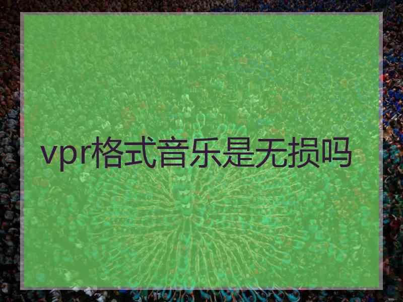 vpr格式音乐是无损吗
