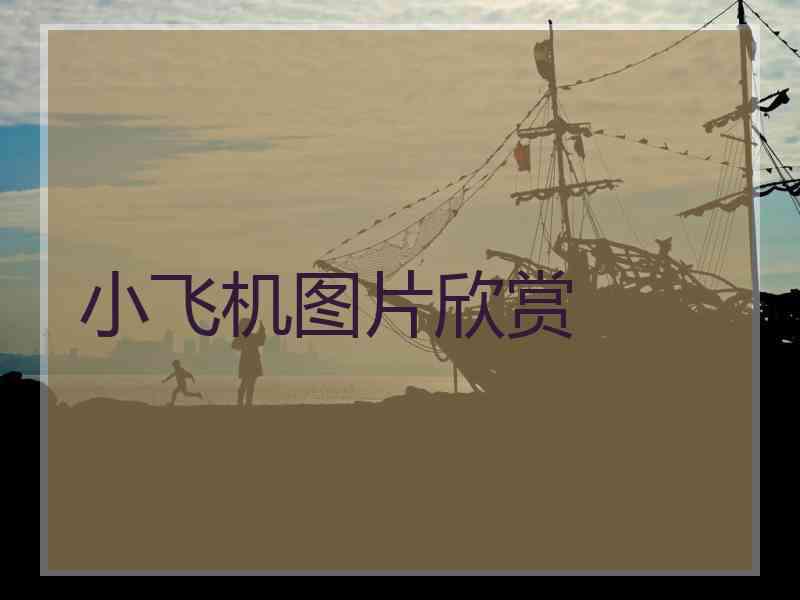 小飞机图片欣赏