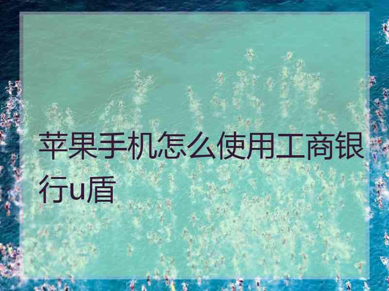 苹果手机怎么使用工商银行u盾