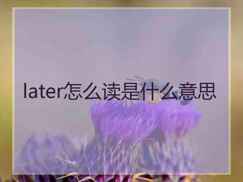 later怎么读是什么意思