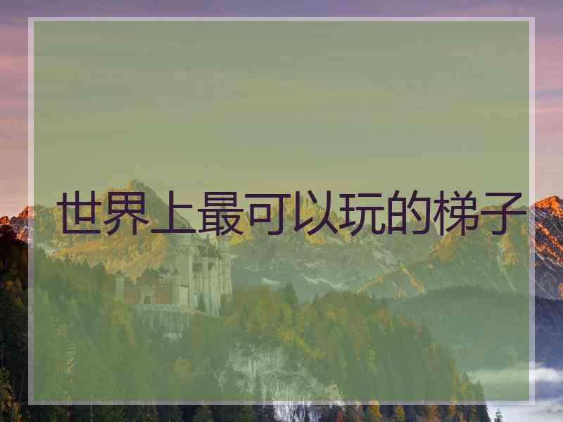 世界上最可以玩的梯子