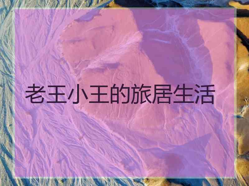 老王小王的旅居生活