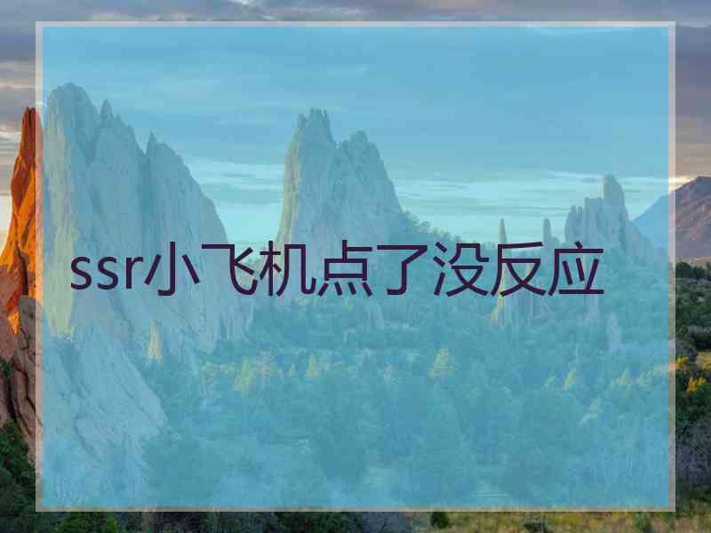 ssr小飞机点了没反应