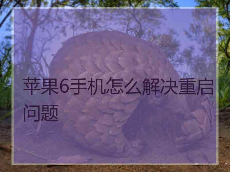 苹果6手机怎么解决重启问题