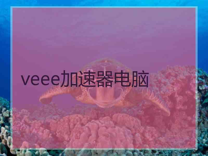 veee加速器电脑