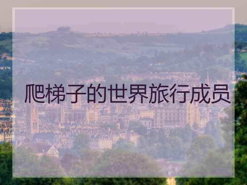 爬梯子的世界旅行成员