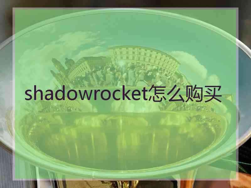 shadowrocket怎么购买