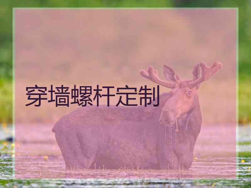 穿墙螺杆定制