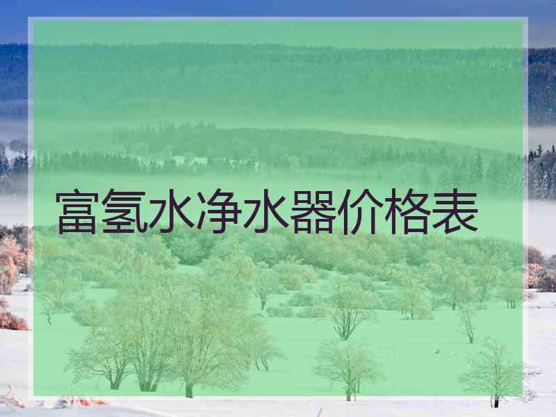 富氢水净水器价格表