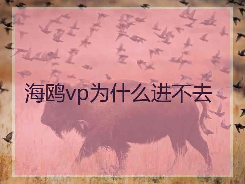 海鸥vp为什么进不去