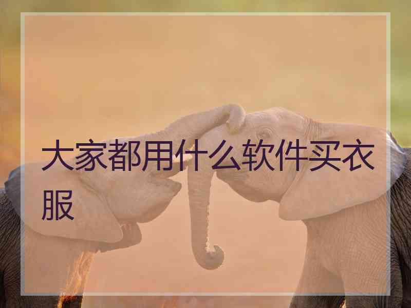 大家都用什么软件买衣服