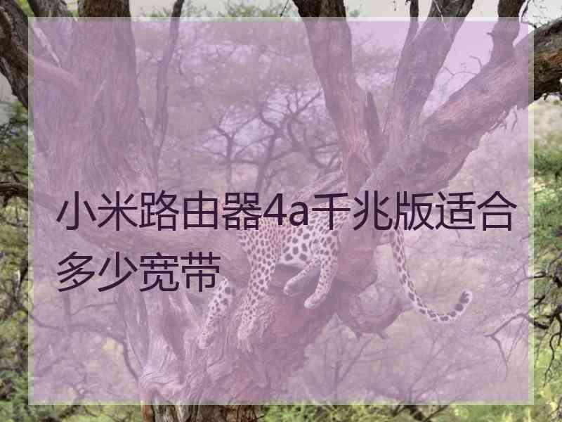 小米路由器4a千兆版适合多少宽带