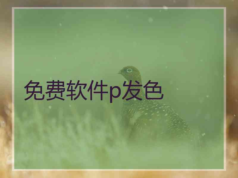 免费软件p发色