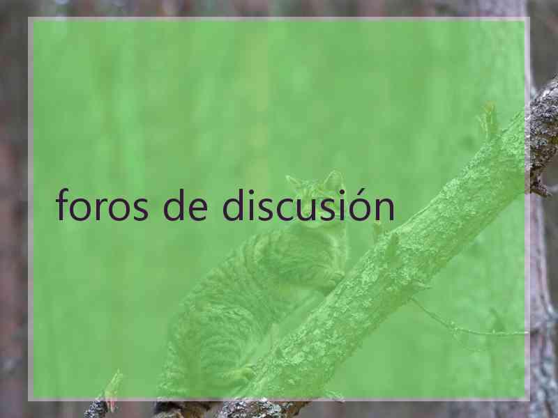 foros de discusión