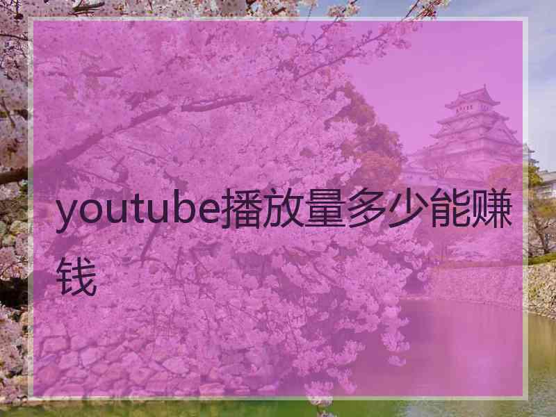 youtube播放量多少能赚钱