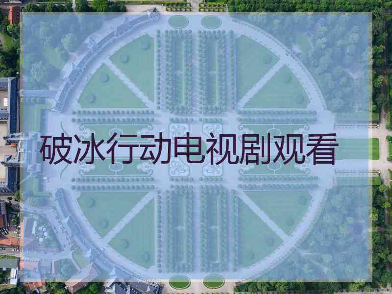破冰行动电视剧观看