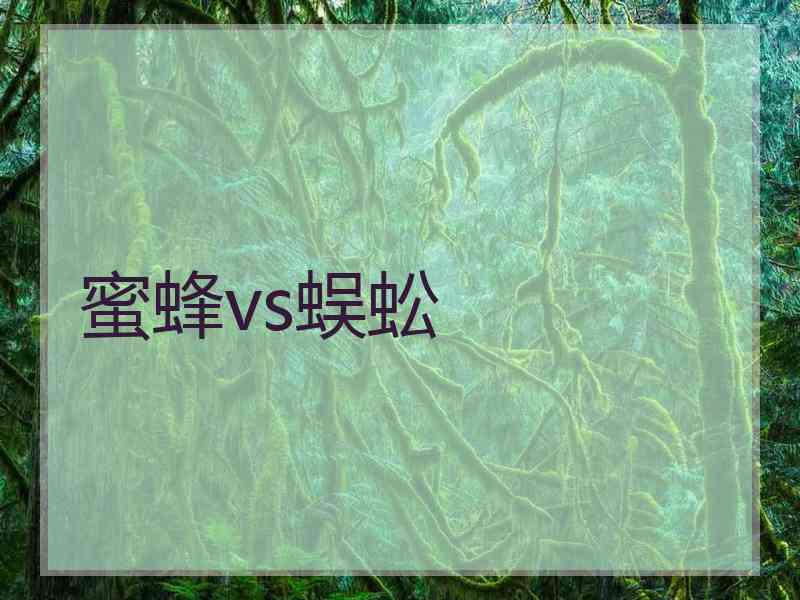 蜜蜂vs蜈蚣