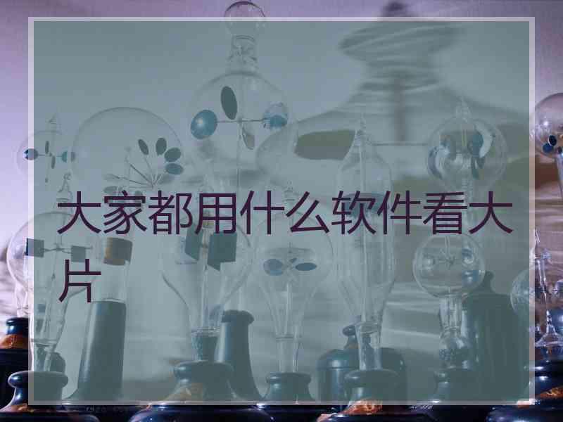 大家都用什么软件看大片