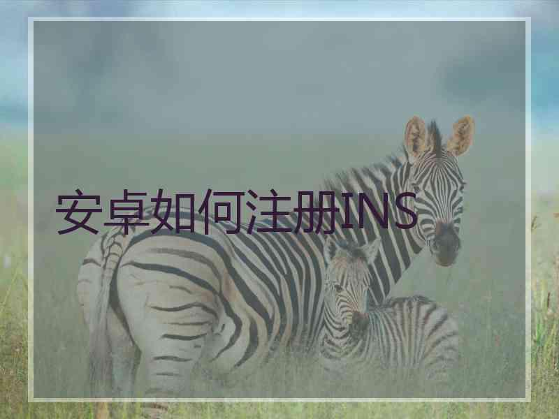 安卓如何注册INS