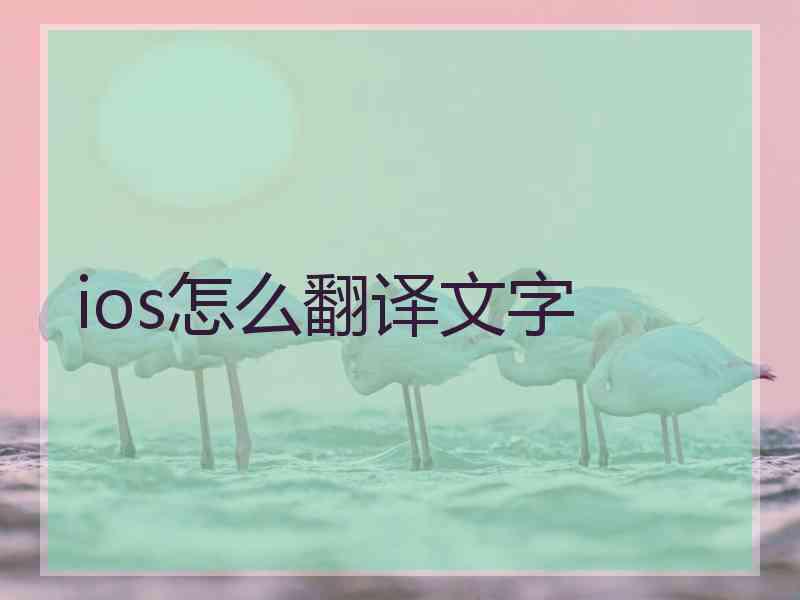 ios怎么翻译文字