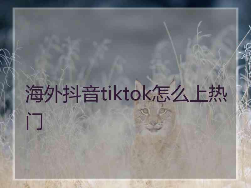 海外抖音tiktok怎么上热门