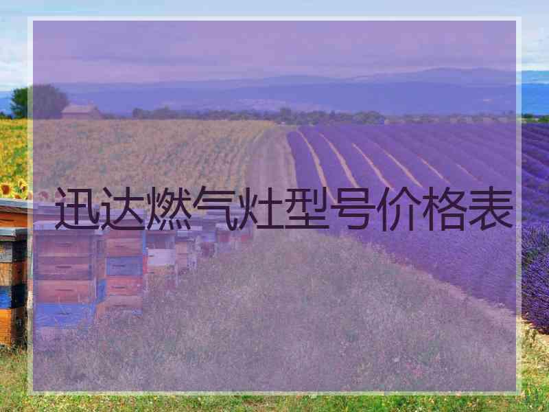 迅达燃气灶型号价格表