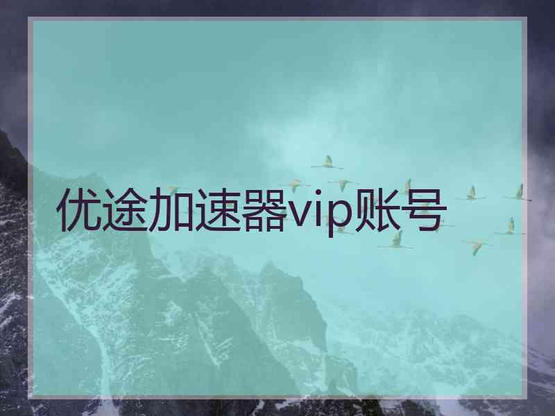 优途加速器vip账号