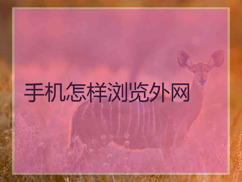 手机怎样浏览外网