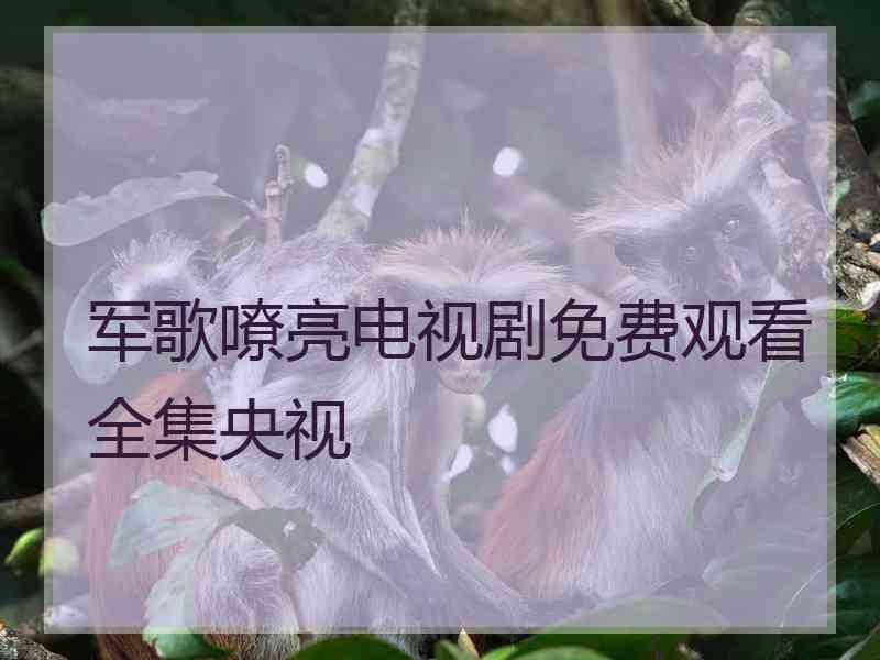 军歌嘹亮电视剧免费观看全集央视